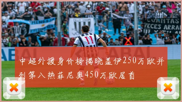 中超外援身价榜揭晓盖伊250万欧并列第八热菲尼奥450万欧居首